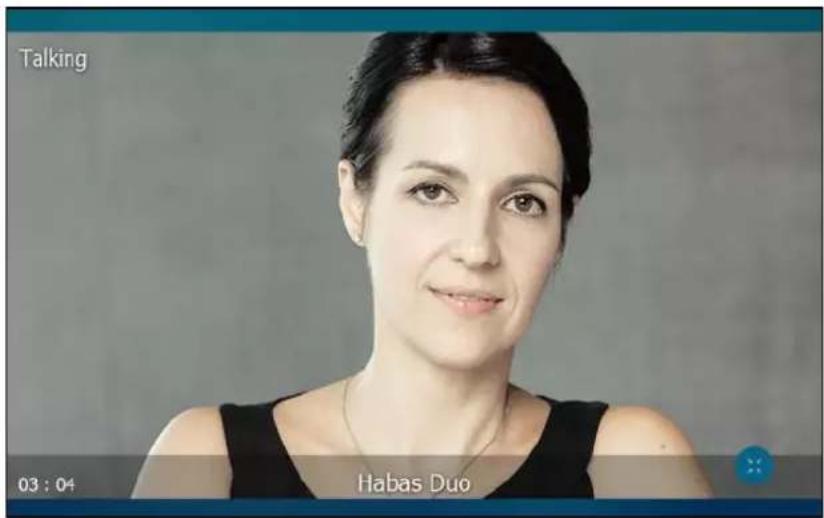 Talking 03 : 04 Habas Duo