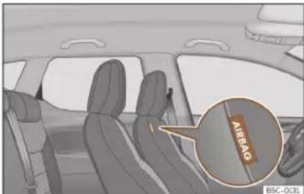 AIRBAG BSC-0131