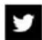NewAir NFT050GA00 - Follow Us - 4