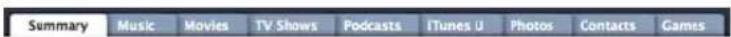 APPLE iPod Nano 5th generation - To set iTunes to manage content on iPod nano manually: - 1
