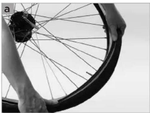 Close-up of hands holding a bicycle wheel with visible spokes and wheelbase (no text or symbols)