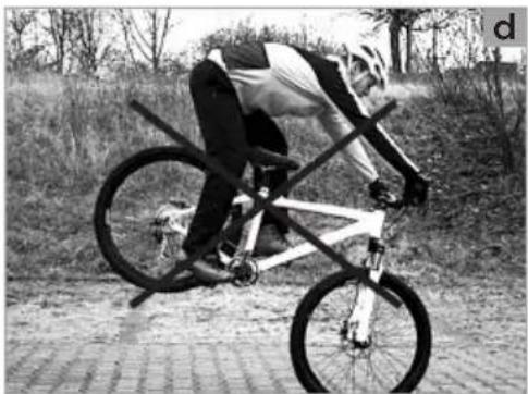 Person riding a bicycle outdoors on a paved path, no visible text or symbols