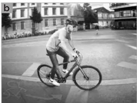 Person riding a bicycle on a wet street intersection, with buildings and trees in the background (no visible text or symbols)