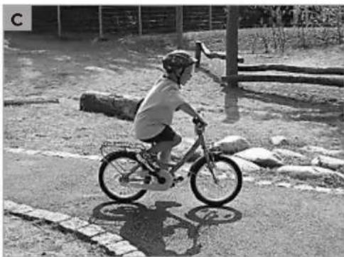 Child riding a bicycle on a paved path with stone pavement and trees in the background (no visible text or symbols)