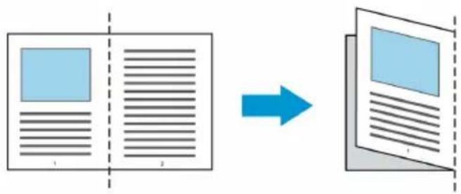 AVISION FT-2004H - Pour les documents plus grands que le format A4/lettre, comme A3 - 1