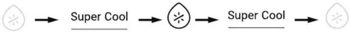 graph LR A["Leaf"] --> B["Super Cool"] B --> C["Star Symbol"] C --> D["Super Cool"] D --> E["Leaf"]
