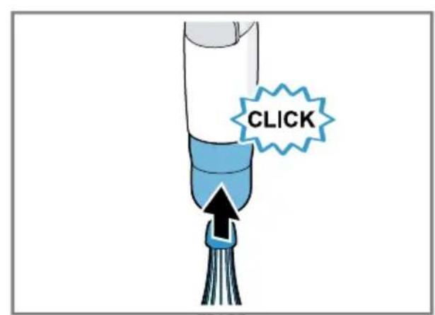 CLICK