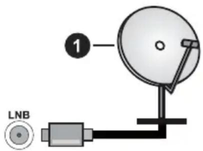 1 LNB