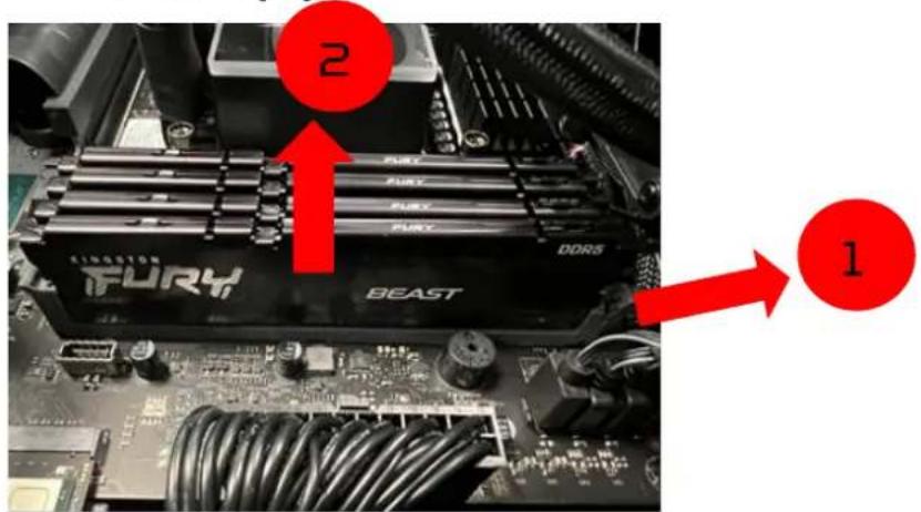 2 BEAST DDR5 1