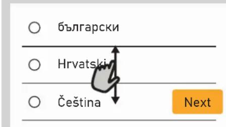bulgarų kroatų čekų Kitas