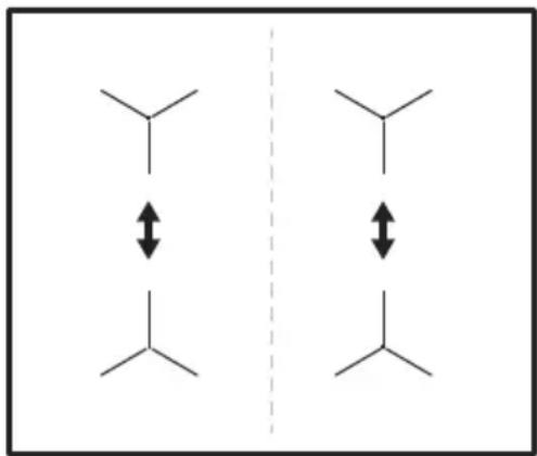 Chemical resonance diagram showing double-headed arrows between two identical branched alkene structures