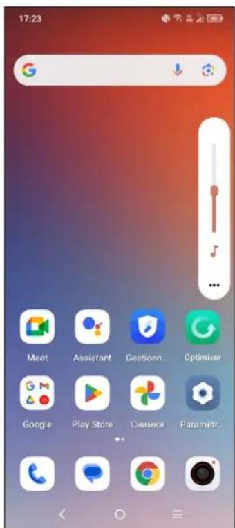 17:23, Meet, Assistant, Gestionnaire, Optimiser, Google Play Store, Chemico, Paramètres