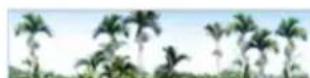 Areca ARC-1883IX-24-2G - SED Key Management-Modification - 1