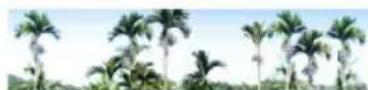 Areca ARC-1883IX-24-2G - Advanced Configuration - 1