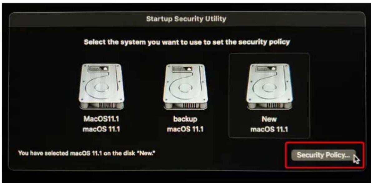 Startup Security Utility Select the system you want to use to set the security policy MacOS11.1 macOS 11.1 backup macOS 11.1 New macOS 11.1 You have selected macOS 11.1 on the disk "New." Security Policy...