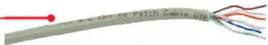 Coiled cable with visible wires and a red connector (no text or symbols)