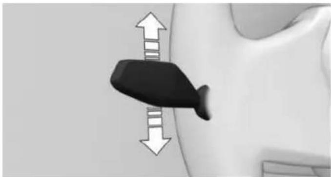 Diagram of a fish-shaped object with directional arrows indicating movement or flow (no text or symbols)
