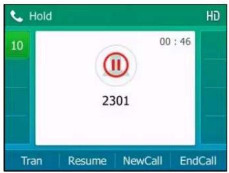 Hold HD 10 00 : 46 2301 Tran Resume NewCall EndCall