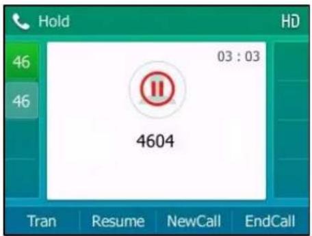 Hold HD 46 46 03 : 03 4604 Tran Resume NewCall EndCall