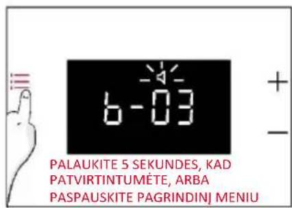PALAUKITE 5 SEKUNDES, KAD PATVIRTINTUMĖTE, ARBA PASPAUSKITE PAGRINDINĮ MENIU