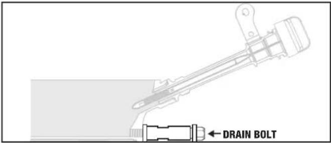DRAIN BOLT