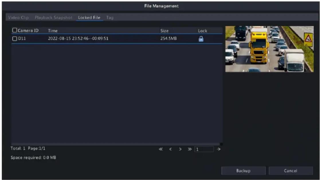 File Management Video Clip Playback Snapshot Locked File Tag Camera ID Time Size Lock D11 2022-08-15 23:52:46--00:09:51 254.5MB Total: 1 Page:1/1 << < > >> 1 → Space required: 0.0 MB Backup Cancel