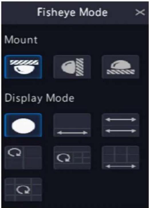Fisheye Mode Mount Display Mode