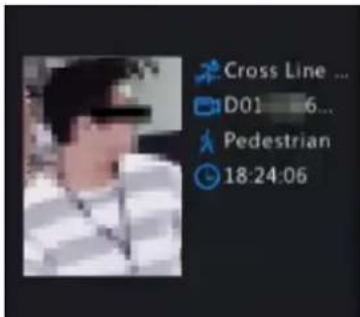 Cross Line ... D01 6... Pedestrian 18:24:06