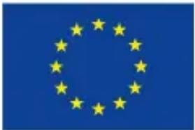 Drapeau de l'Union européenne avec douze étoiles jaunes sur fond bleu (sans texte ni symboles)