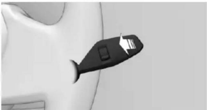 Black fish-shaped object with a white arrow pointing to it, placed on a curved surface (no text or symbols visible)