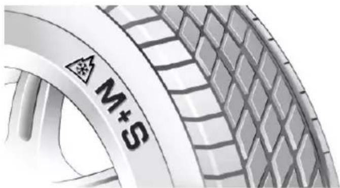 M+S