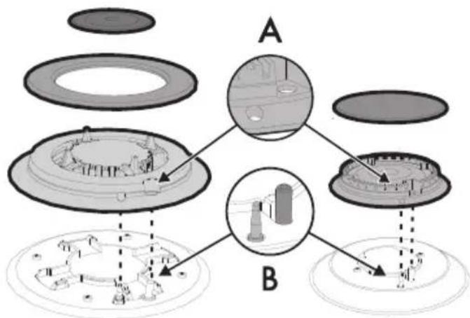 A, B