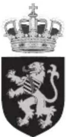 Two emblem designs: a crown above a shield with a lion silhouette (no text or symbols)