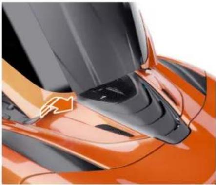 McLaren Elva - Capots d'entretien - Spider - 5