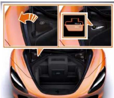 McLaren Elva - Liquide de frein - 1