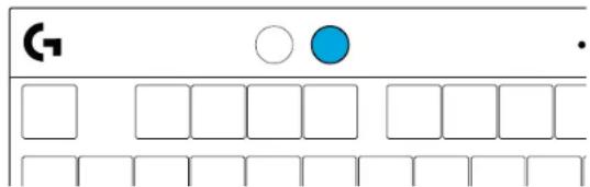 G ○ ● •