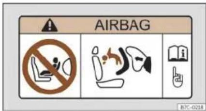 AIRBAG BTC-0238