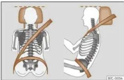 Illustration of human skeletal anatomy showing shoulder and torso positions (no text or labels)