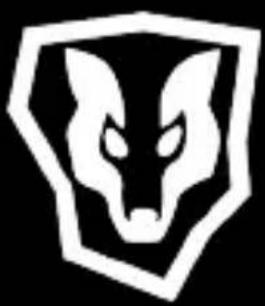 Stylized white wolf head logo enclosed in a black-and-white geometric frame (no text or symbols)