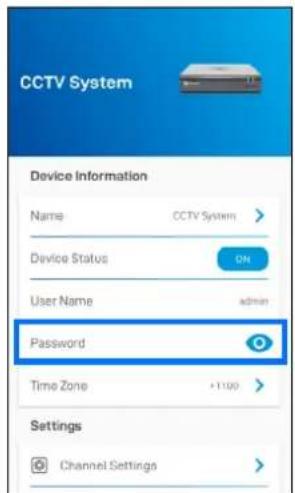 CCTV System Device Information Name CCTV System > Device Status ON User Name admin Password Time Zone +100 > Settings Channel Settings >