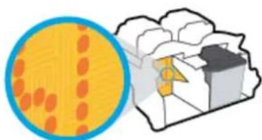 Illustration of a cell with visible chromosomes and a magnified view of the cell (no text or labels)