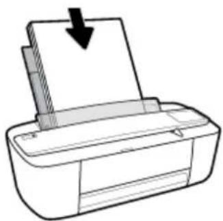 Line drawing of a printer with a paper being inserted, showing paper roll and arrow (no text or symbols)
