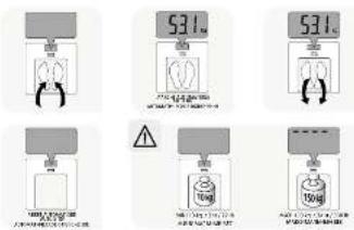 53.1 53.1 53.1 53.1 53.1 53.1 53.1 53.1 53.1