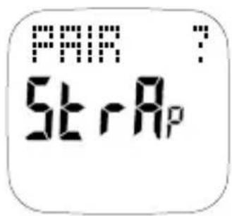 Crane GPS Watch - PAIR ? Strap - 1