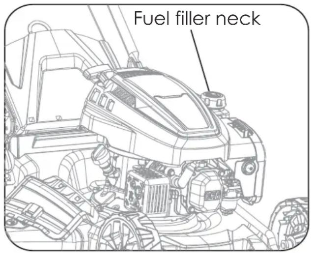 Fuel filler neck
