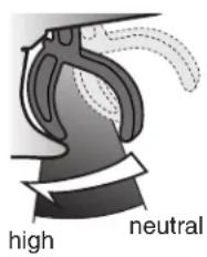 high neutral