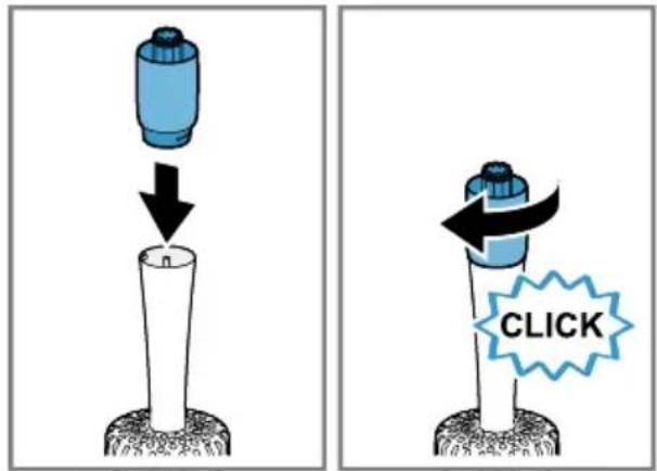 CLICK