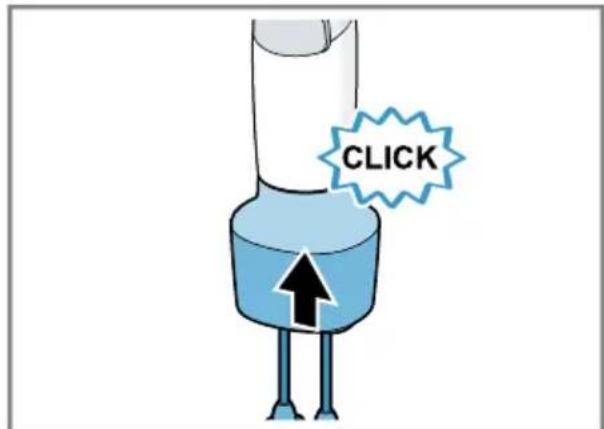 CLICK