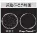 Plus More MO-HF023 - MRU-DC01 Drop Clean+Agイオン 抗菌試験 - 1