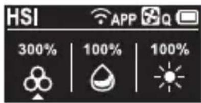 HSI 300% | 100% | 100%